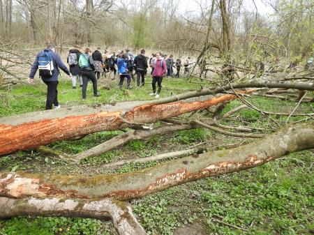 7. april, mednarodni dan bobra in Dan za spremembe 19